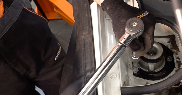 Sostituire Ammortizzatori su FIAT Doblo Station Wagon (119_, 223_) 1.9 D 2015 non è più un problema con il nostro tutorial passo-passo