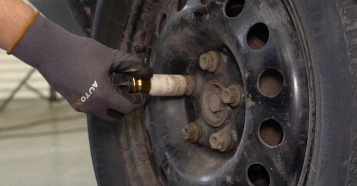 VW SHARAN Rato guolis keitimas: nemokamos remonto instrukcijos