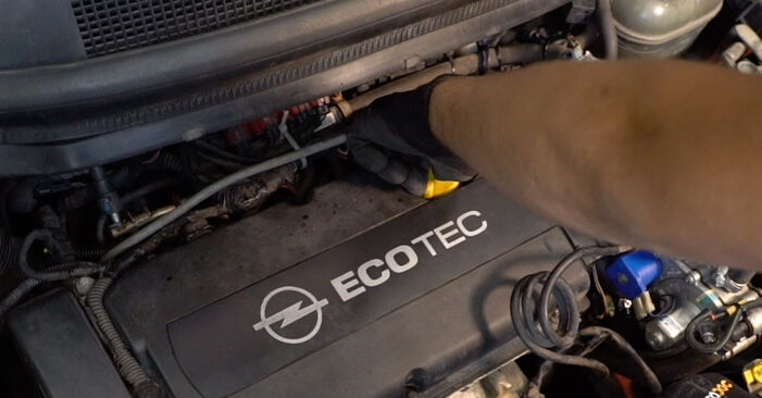 Wie Ölfilter beim Opel Cascada Cabrio 2013 gewechselt werden - Unentgeltliche PDF- und Videoanweisungen