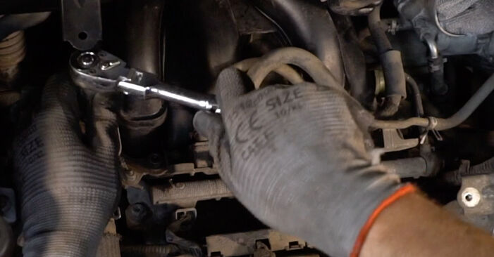 How to change Spark Plug on ES 250 V20 1989 - free PDF and video manuals