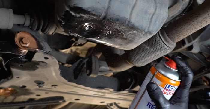 Wie lange benötigt das Auswechseln der Teile: Ölfilter beim Ford Fiesta Mk5 Kastenwagen 2003 - Detailliertes PDF-Tutorial