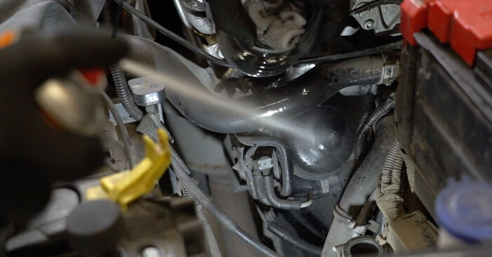 Wie man Ölfilter am FORD Fiesta Mk7 Schrägheck 2021 wechselt - Hinweise und Ratschläge