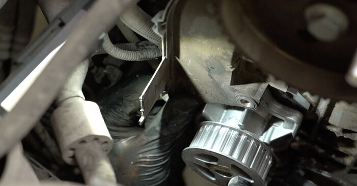 Ibiza IV Hatchback (6J5, 6P1) 1.9 TDI 2009 Water Pump + Timing Belt Kit DIY replacement workshop manual