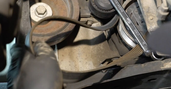 Replacing Poly V-Belt on Renault Laguna 3 2008 1.5 dCi by yourself