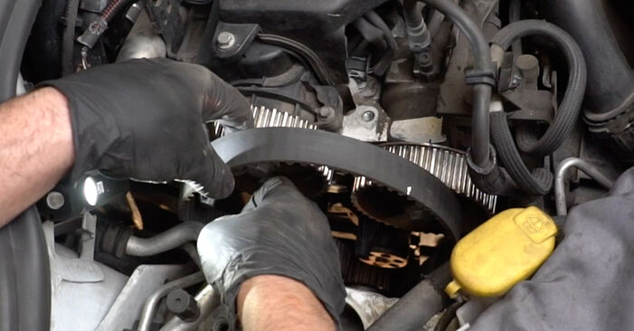 Changing of Water Pump + Timing Belt Kit on Renault Clio 2 2006 won't be an issue if you follow this illustrated step-by-step guide