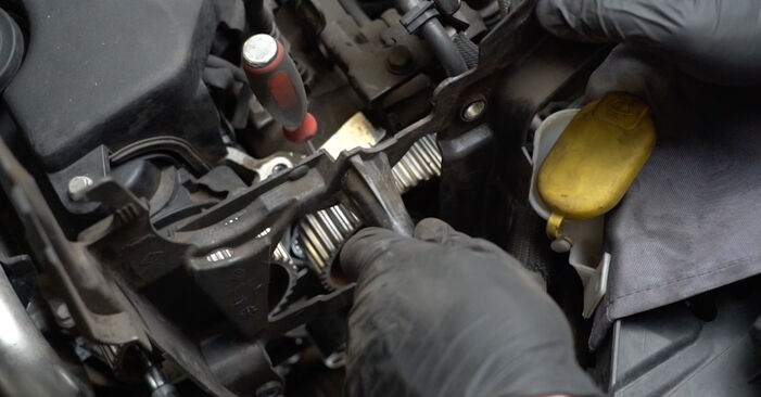Schrittweise Anleitung zum eigenhändigen Ersatz von Renault Kangoo KC 2010 1.2 16V Wasserpumpe + Zahnriemensatz