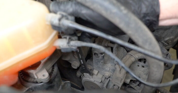 Replacing Water Pump + Timing Belt Kit on Ford Transit Courier Estate 2024 1.5 TDCi by yourself