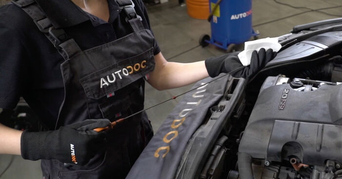 Wie man Ölfilter am AUDI TT Roadster (FV9, FVR) 2015 ersetzt - Hinweise und Ratschläge