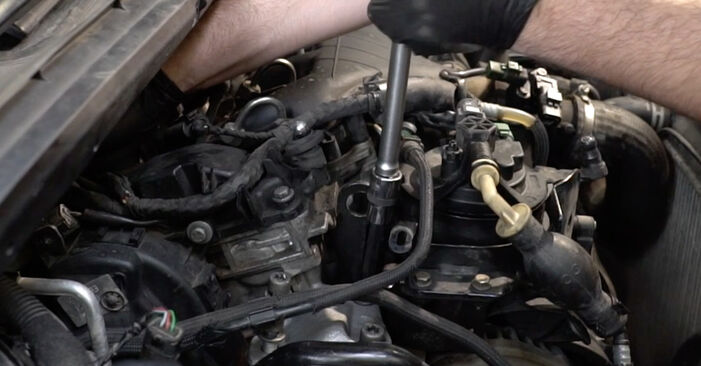 Recomandările pas cu pas pentru înlocuirea de sine stătătoare Peugeot 206 2A/C 2011 1.6 16V Suport motor