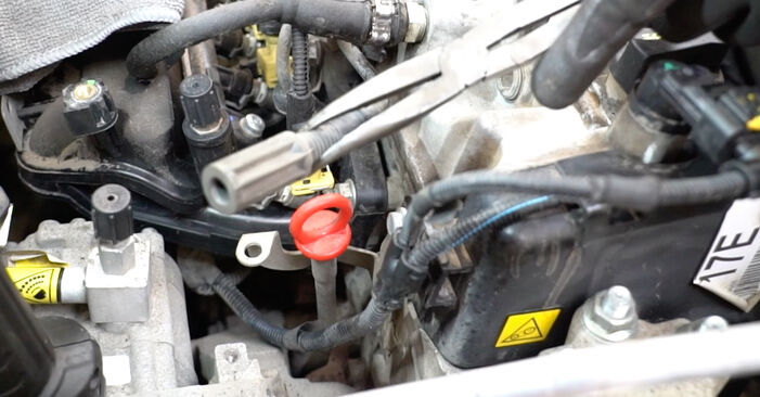 Hvordan skifte Tennplugger på FIAT 500 C (312) 2014: Last ned PDF- og videoveiledninger