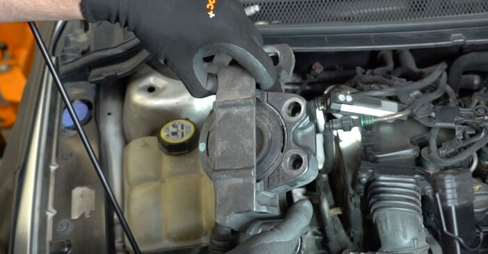 Cambio Supporto Motore posteriore e anteriore su FORD C-MAX 2.0 LPG 2010. Questo manuale d'officina gratuito ti aiuterà a farlo da solo