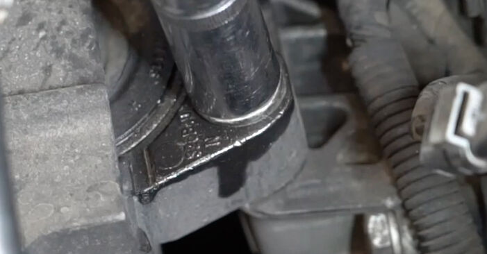 Samodzielna wymiana Zawieszenie silnika w FORD Grand C-Max (DXA/CB7, DXA/CEU) 1.6 EcoBoost 2013