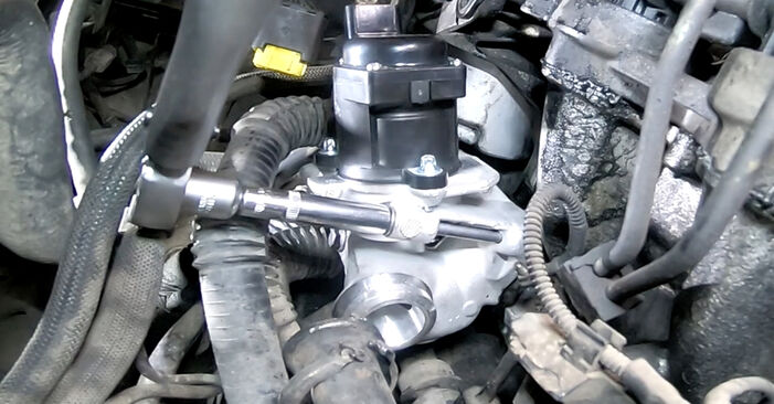 Replacing EGR Valve on Ford Fiesta Mk5 2001 1.4 TDCi by yourself
