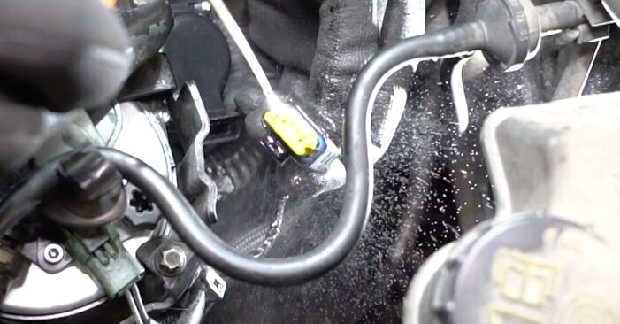 Стъпка по стъпка препоруки за самостоятелна смяна на Ford Fiesta Mk5 2004 ST150 2.0 Egr Клапан