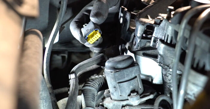 Sustitución de Válvula EGR en un Ford Fiesta Mk6 Furgón 1.6 TDCi 2011: manuales de taller gratuitos