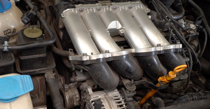 Come rimuovere SEAT LEON 1.8 T Cupra R 2003 Filtro Carburante - istruzioni online facili da seguire