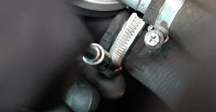 Ako vymeniť Príruba chladenia na VW SHARAN (7M8, 7M9, 7M6) 2007 – tipy a triky