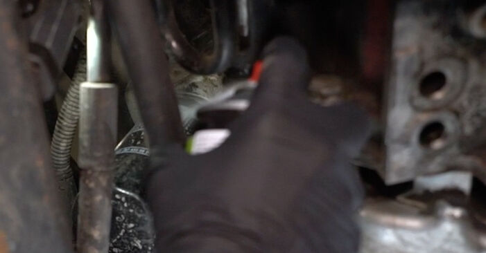 Wie problematisch ist es, selber zu reparieren: Ölfilter beim SEAT Alhambra 7M 1.9 TDI 2002 auswechseln – Downloaden Sie sich bebilderte Tutorials