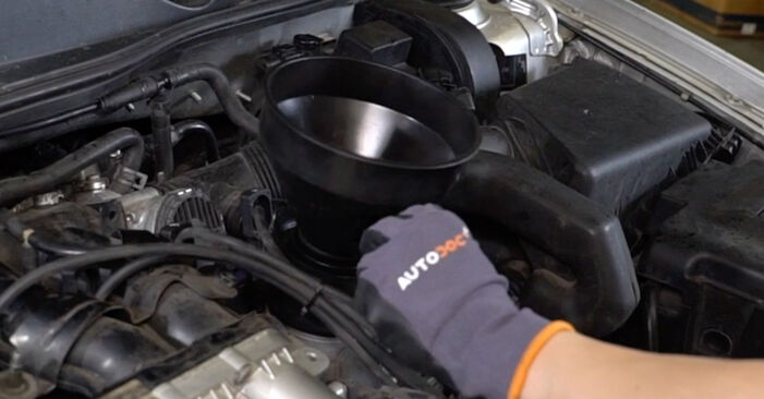 Come sostituire Filtro olio motore SEAT Alhambra (7V8, 7V9) 2.0 TDI 1997 - manuali passo passo e video guide