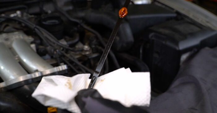 Ölfilter am SEAT Alhambra (7V8, 7V9) 2.8 V6 2001 wechseln – Laden Sie sich PDF-Handbücher und Videoanleitungen herunter