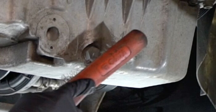 Tauschen Sie Ölfilter beim SEAT Alhambra (7V8, 7V9) 1.9 TDI 4motion 1999 selbst aus