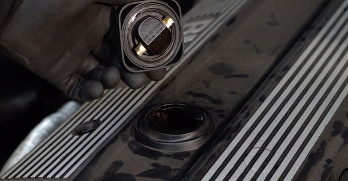 Wie man Ölfilter beim Roadster E85 2003 wechselt - Gratis PDF- und Video-Tutorials