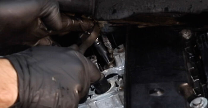 Zamenjajte Tesnilka pokrova ventila na BMW E34 Touring 1994 525 tds sami