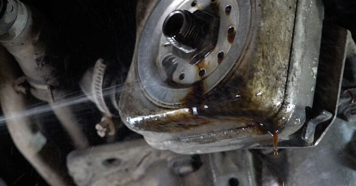 Wie lange braucht der Teilewechsel: Ölfilter am Audi A8 D3 2010 - Einlässliche PDF-Wegleitung