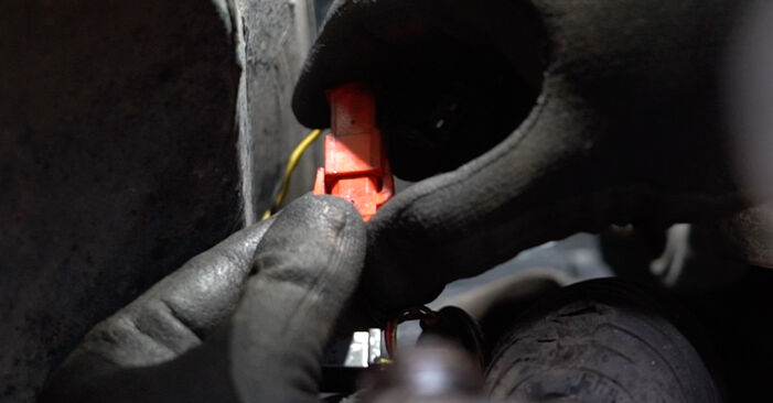 VW PHAETON Rato guolis keitimas: nemokamos remonto instrukcijos