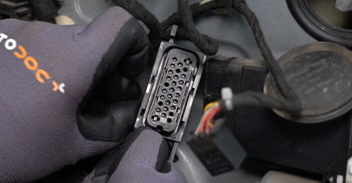 Κάντε μόνοι σας την αντικατάσταση SEAT Leon Hatchback (1M1) 1.8 20V T 2005 Γρύλος παραθύρου - online tutorial