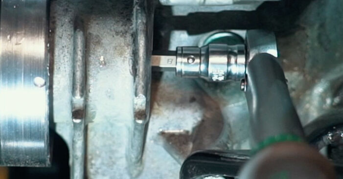 Wie man Thermostat beim SEAT Ibiza IV Sportcoupe (6J, 6P) 2013 auswechselt – Downloaden Sie sich PDF-Tutorials und Videoanleitungen herunter