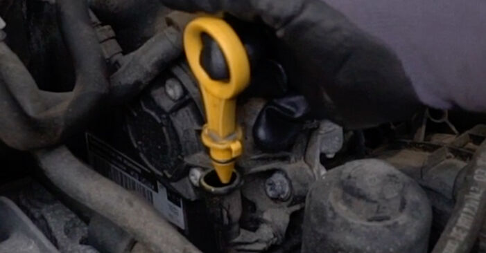 Schimbați Filtru ulei la SEAT Alhambra (710, 711) 2.0 TDI 2013 de unul singur