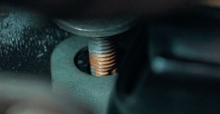 Zamenjajte Vlezajenje motorja na Renault 19 B/C53 2001 1.9 dT sami