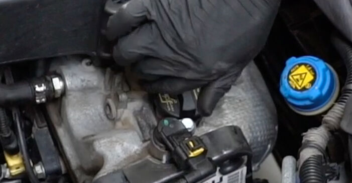 Ersetzen Sie Ölfilter am FIAT Fiorino MPV (225) 1.4 CNG (225AXC1A) 2010 selber