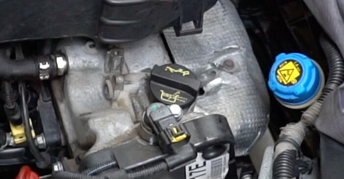 How to remove FIAT FIORINO 1.4 CNG (225AXC1A, 225BXC1A) 2011 Oil Filter - online easy-to-follow instructions