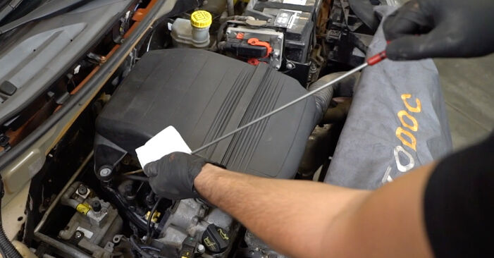 Wie problematisch ist es, selber zu reparieren: Ölfilter beim FIAT Fiorino MPV (225) 1.4 (225BXA1A) 2013 auswechseln – Downloaden Sie sich bebilderte Tutorials