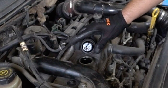 Trinn-for-trinn anbefalinger for hvordan du kan bytte Ford Fiesta Mk4 JVS 1999 TD 1.8 Oljefilter selv