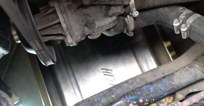 Hoe SEAT Alhambra (7V8, 7V9) 1.9 TDI 1997 Flens Koelvloeistof vervangen – stapsgewijze handleidingen en videogidsen