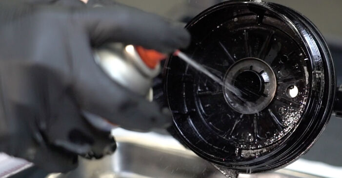 Manualul de atelier pentru substituir Filtru combustibil C8 II 2.0 16V 2013
