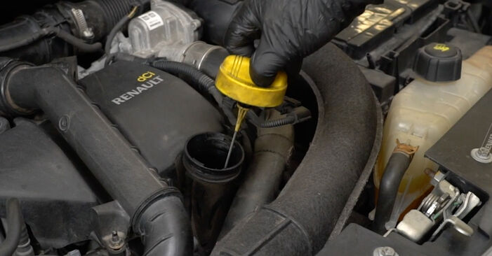 ALPINE V6 GT 1987 Ölfilter wechseln: Gratis Reparaturanleitungen