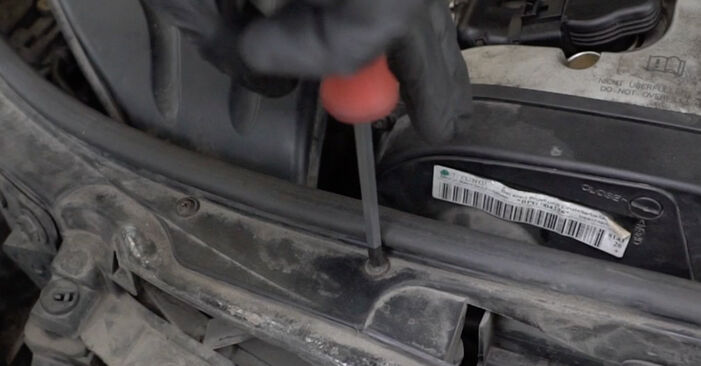 Смяна на Seat Toledo 3 2.0 TDI 16V 2006 Комплект зъбен ремък: безплатни наръчници за ремонт