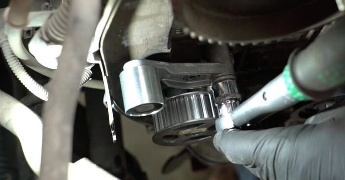 Колко време отнема смяната: Комплект зъбен ремък на VW Polo 9n 2009 - информативен PDF наръчник