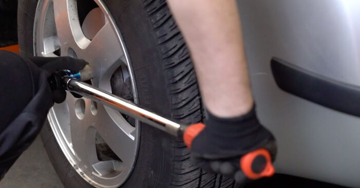 Replacing Brake Hose on Seat Ibiza 6j Estate 2013 1.2 TDI by yourself