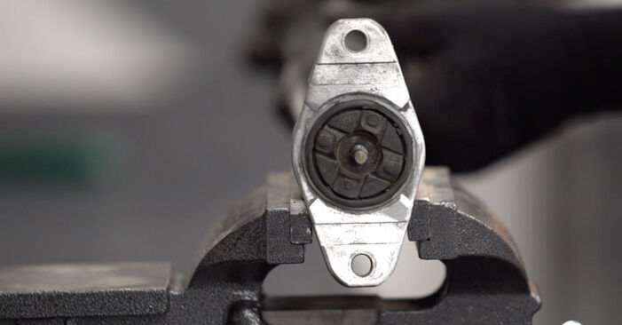 DIY replacement of Strut Mount on FORD C-MAX (DM2) 2.0 TDCi 2009 is not an issue anymore with our step-by-step tutorial