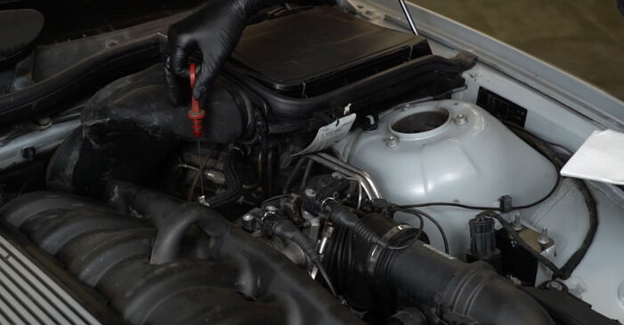 Tauschen Sie Ölfilter beim B10 Touring 1999 4.6 V8 selber aus