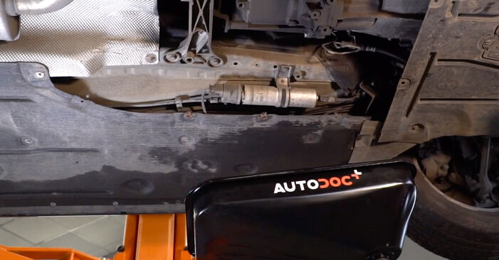 Sostituzione Filtro Carburante Alpina D5 F10 3.0 BiTurbo 2013: manuali dell'autofficina