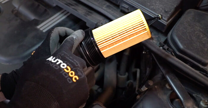 Wie schmierig ist es, selber zu reparieren: Ölfilter beim Alpina D3 touring E91 2.0 Bi-Turbo 2011 wechseln – Downloaden Sie sich Bildanleitungen