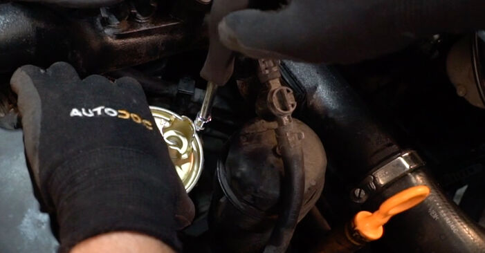 Replacing Fuel Filter on VW Sharan Kastenwagen (7M) 2005 2.0 (7M8, 7M9) by yourself
