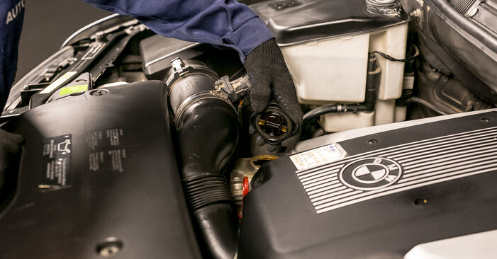 BMW E32 750 i, iL V12 1988 Ölfilter austauschen: Unentgeltliche Reparatur-Tutorials