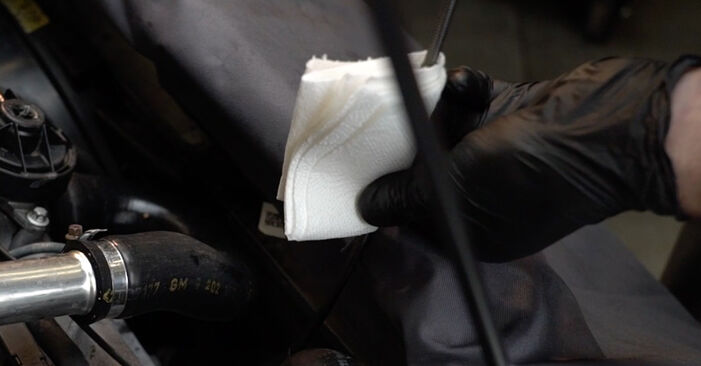 DIY replacement of Oil Filter on SUZUKI SWIFT II Hatchback (EA, MA) 1.3 GTi 2003 is not an issue anymore with our step-by-step tutorial